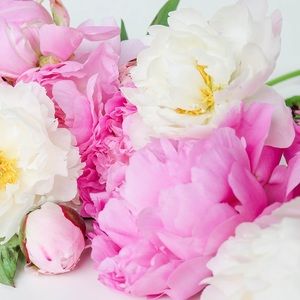 Meet your Posher, Robyn